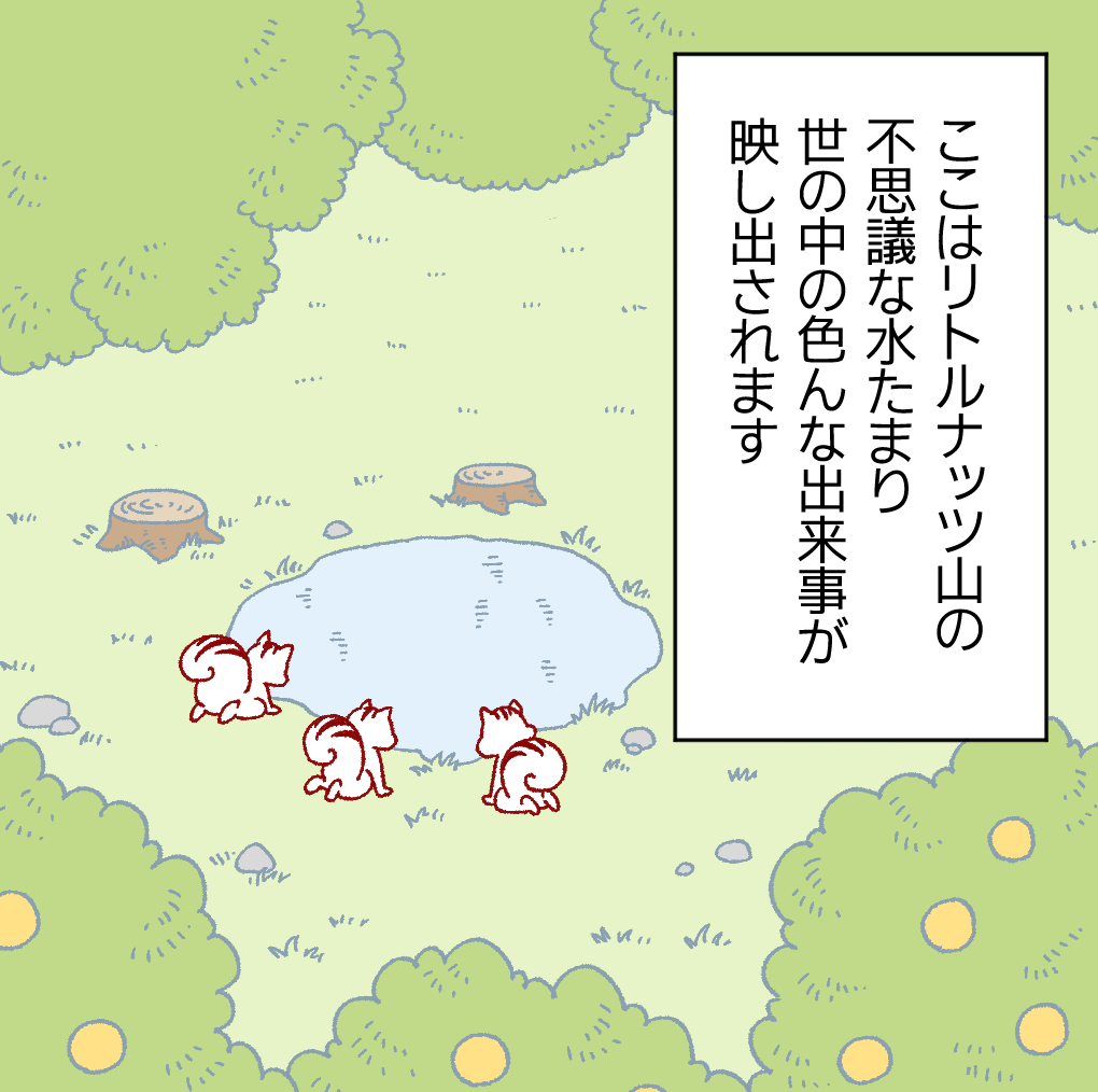 リトルナッツ山の水たまりを覗く、リスのハリー、ナッツ、アッキー。不思議な水たまりに世の中の出来事が映し出される